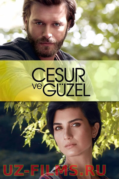 Отважный и красавица / Cesur Ve Guzel (2016)