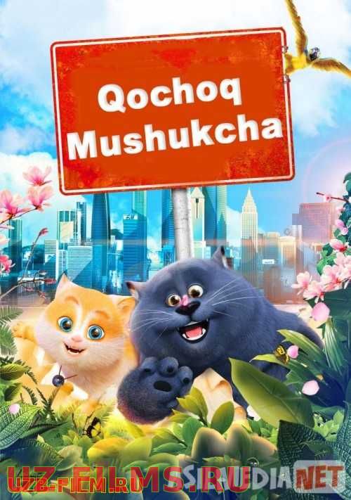 Qochoq mushukcha Uzbek tilida multfilm 2018